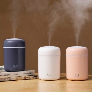 Mini Umidificatore a Nebbia Fredda e Purificatore d'Aria